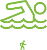 ikona