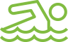 ikona